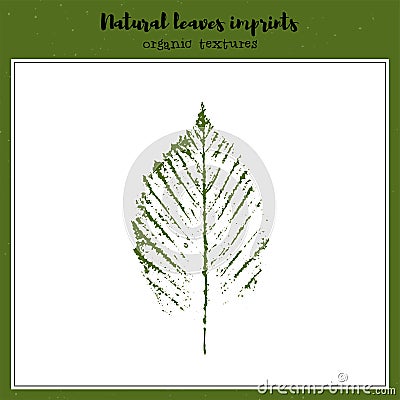 Vector leaf imprint Vector Illustration