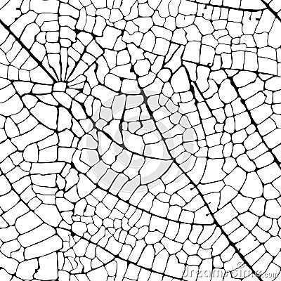 Vector leaf veins seamless texture Vector Illustration