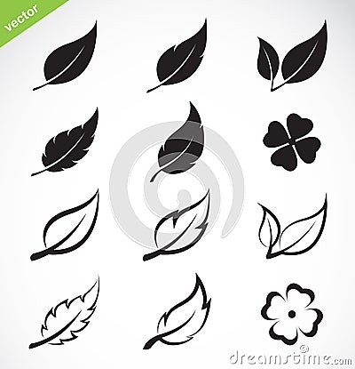 Vector leaves icon set Vector Illustration