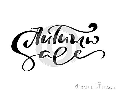 Vector lettering calligraphy Autumn Sale text. Hand drawn illustration for greeting card isolated on white background Vector Illustration