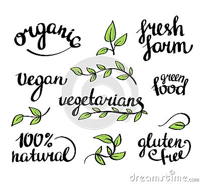 Vector lettering - organic natural food, vegan and vegetarians menu Vector Illustration