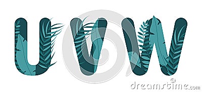 Vector letters U V W of the alphabet. Leaf design Vector Illustration
