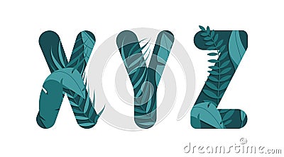 Vector letters X Y Z of the alphabet. Leaf design Vector Illustration