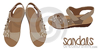 Vector Light Brown Sandals, Fashionable Look Vector Illustration