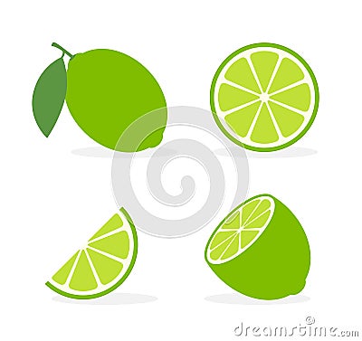 Vector lime slice green illustration lemon isolated half fruit lime. Fresh green cut citrus icon Vector Illustration