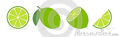 Vector lime slice green illustration lemon isolated half fruit lime. Fresh green cut citrus icon Vector Illustration