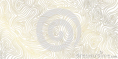 Vector line contour map texture, typography abstract pattern, golden mountain landscape grid Stock Photo