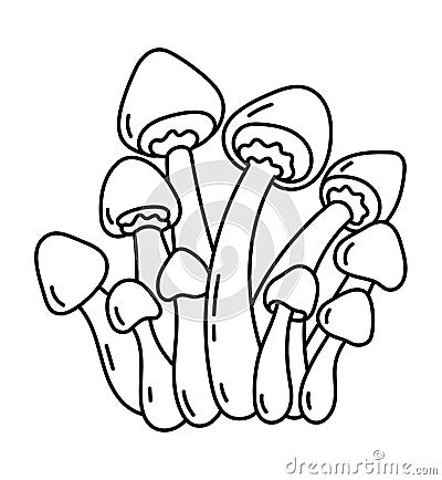 Honey fungus. Edible mushrooms. Armillaria mushrooms. Agaric honey. Vector line. Editable outline stroke. Vector Illustration