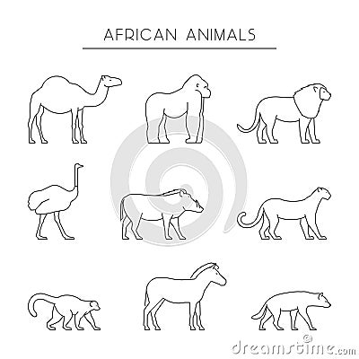 Vector line set of african animals. Stock Photo