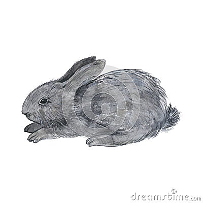 Vector little fluffy bunny Vector Illustration