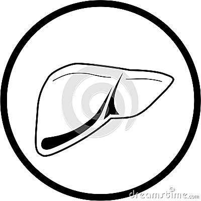 Vector liver icon Stock Photo