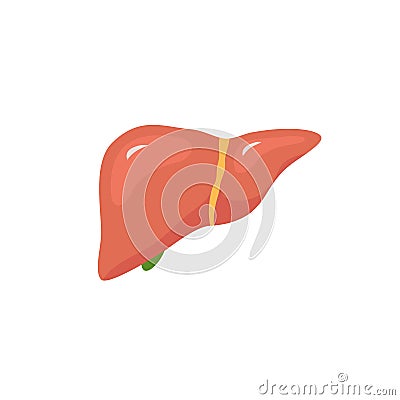 Vector liver icon flat logo. Human disease health design. Liver anatomy medical healthy icon Vector Illustration