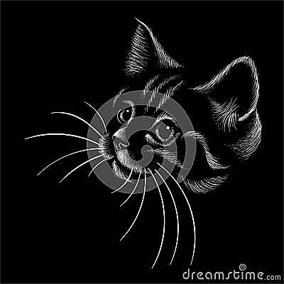 The Vector logo cat for tattoo or T-shirt design or outwear. Cute print style cat background. This hand drawing would be nice to Vector Illustration