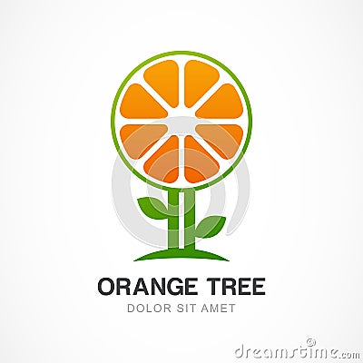 Vector logo design template. Orange tree illustration. Garden, o Vector Illustration