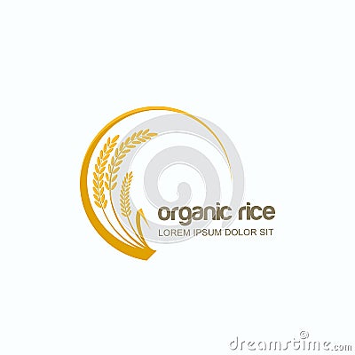 Vector logo, label or emblem with rice, wheat, rye grains. Design template for asian agriculture, cereal and bakery. Vector Illustration