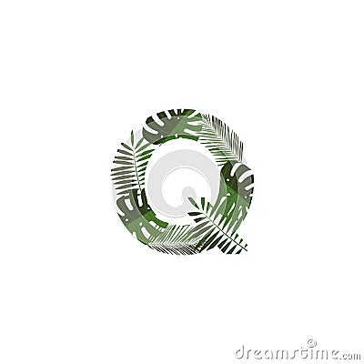 Vector Logo Letter Q Tropical Leaves Vector Illustration