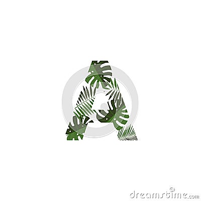 Vector Logo Letter A Tropical Leaves Vector Illustration