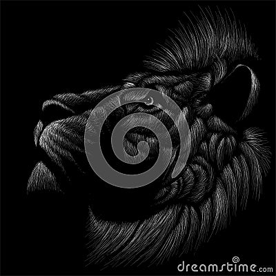 The Vector logo lion for tattoo or T-shirt print design or outwear. Hunting style lions background. Stock Photo