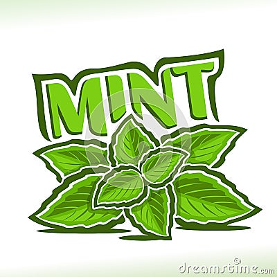 Vector logo for Mint herb Vector Illustration