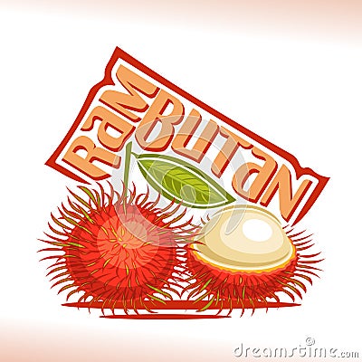 Vector logo Rambutan Fruit Vector Illustration