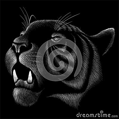 The Vector logo tiger for tattoo or T-shirt design or outwear. Hunting style tigers print on black background. Stock Photo