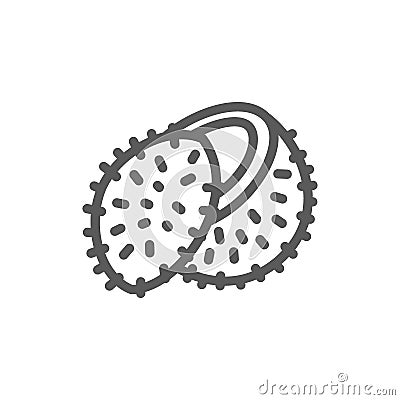 Lychee fruit, coconut line icon. Vector Illustration