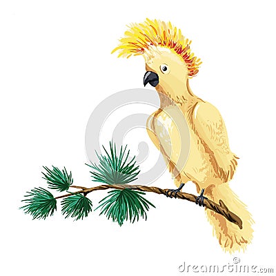 Vector macaw illustration. Yellow parrot sitting on branch. Vector Illustration