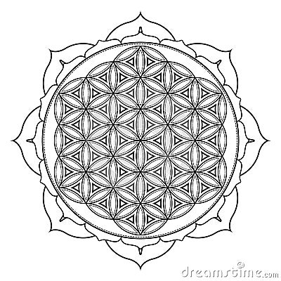 Vector mandala sacred geometry illustration Vector Illustration