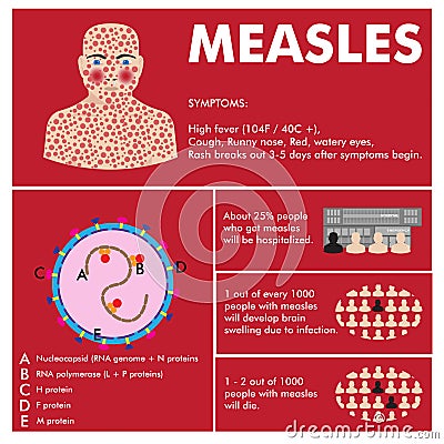 Vector measles infographic Vector Illustration