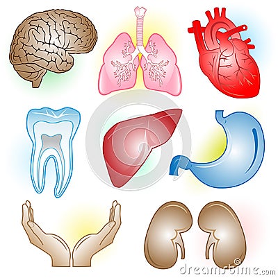 Vector medical icons Vector Illustration