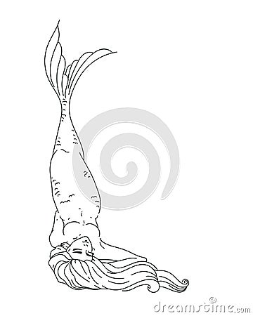 Vector mermaid Vector Illustration