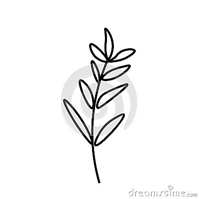 Vector minimalist plant leaf with a black line.One autumn simple hand drawn illustration Vector Illustration