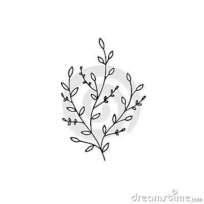 Vector minimalistic graphic, hand drawn floral icon. Branch with leaves. Vector Illustration