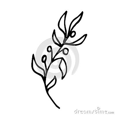 Vector minimalistic stylish plant with berries is perfect for the logo of eco-friendly products, tattoo design Vector Illustration