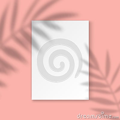 Vector Mockup with empty white A4 paper sheet on pink background and palm leaves shadow overlay effect. Minimalist Vector Illustration