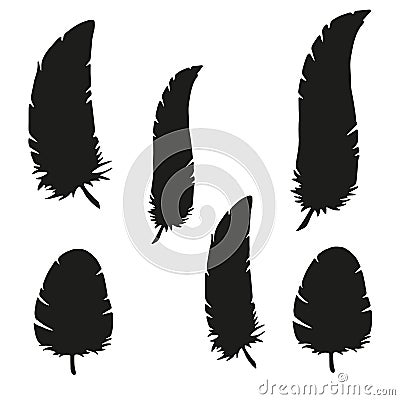 Silhouette of feathers on a white background. Sticker on the wall for the nursery or bedroom. Vector illustration. Vector Illustration