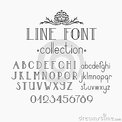 Vector mono line decorative font and numerals. Vector Illustration