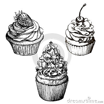 Vector monochrome background. Hand drawn sweet cupcakes collection with strawberry and cherry. Set for greeting card, postcard or Vector Illustration
