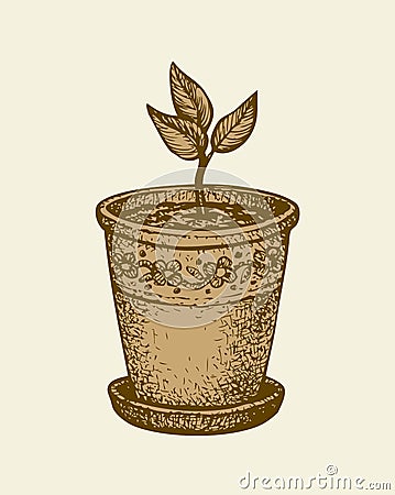 Vector monochrome drawing. Sprout in a pot Vector Illustration