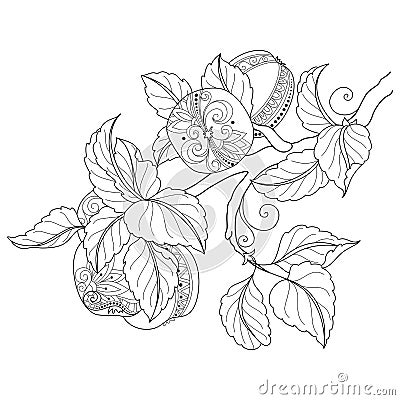 Vector Monochrome Fruit Background Vector Illustration