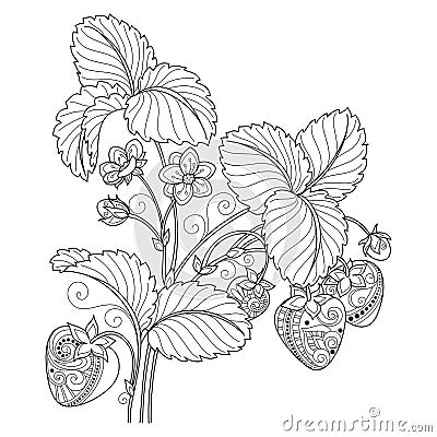 Vector Monochrome Fruit Background Vector Illustration