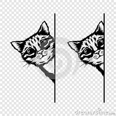Vector Monochrome Hand Drawm Black, White Hiding Peeking Kitten. Peeking Kitten Head. Cat Peeks Out from Around the Vector Illustration