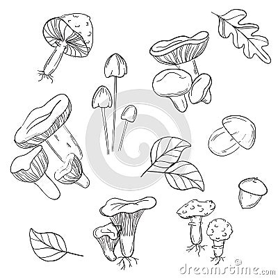 Vector monochrome mushrooms stickers. Modern black white mushrooms line art. white mushroom, chanterelles, fly agarics Vector Illustration