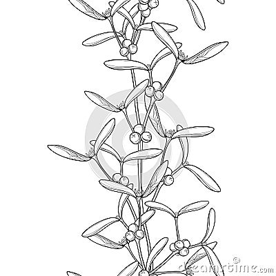 Vector monochrome vertical seamless pattern with outline Mistletoe with leaves and berry in black on the white background. Vector Illustration