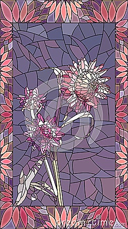 Vector illustration of couple pink helichrysum immortelle. Vector Illustration