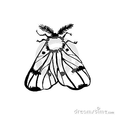 Vector moth, night butterfly drawing, hand drawing silhouette Vector Illustration