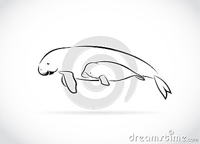 Vector of mother dugong and baby dugong design on white background. Easy editable layered vector illustration. Wild Animals Vector Illustration