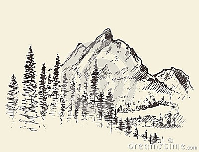 Vector mountain peak pine forest hand drawn Vector Illustration