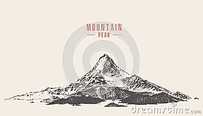 Vector mountain peak pine forest hand drawn Vector Illustration
