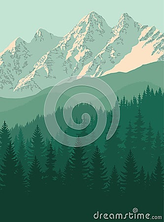 Vector mountain in woodland on Rocky mountains Vector Illustration